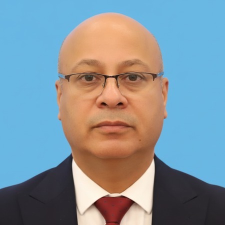 الدكتور أحمد أبو هولي